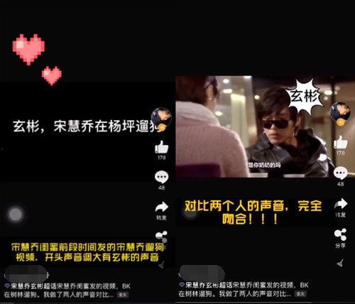 宋慧乔被老公爆料视频,真相背后引热议