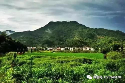 罗田今日爆料方衣山村,今日爆料揭示神秘村落背后的故事