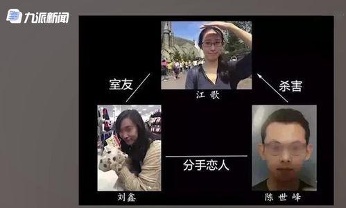 刘鑫最近爆料新闻报道视频,揭秘近期热点新闻背后的真相