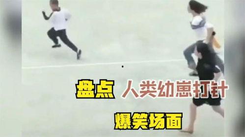 盘点人类爆料视频,盘点人类爆料视频背后的故事