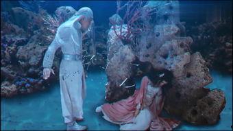 人鱼公主电影在线观看