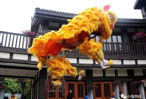 舞狮少年爆料视频,幕后爆料视频曝光惊人内幕