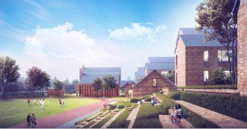 长春荷园路最新爆料,揭秘荷园路改造背后的故事