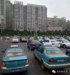 张扬出租车爆料视频大全,张扬爆料视频大全深度解析