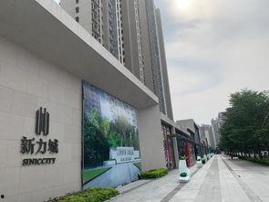 惠州惠城区爆料案件最新,案情扑朔迷离，警方全力侦破