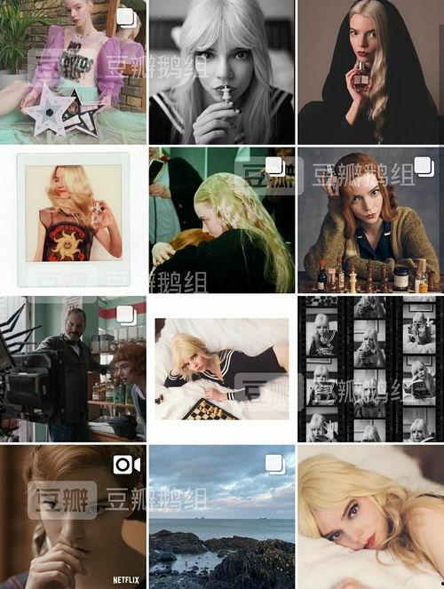 吃瓜鹅明星娱乐