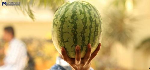 2021年娱乐圈吃瓜,瓜田李下，明星们的年度大揭秘